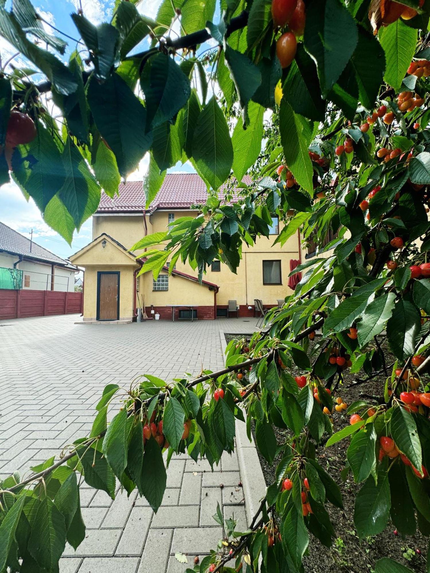 Carpathian Newstar Hotel Sibiu Eksteriør billede