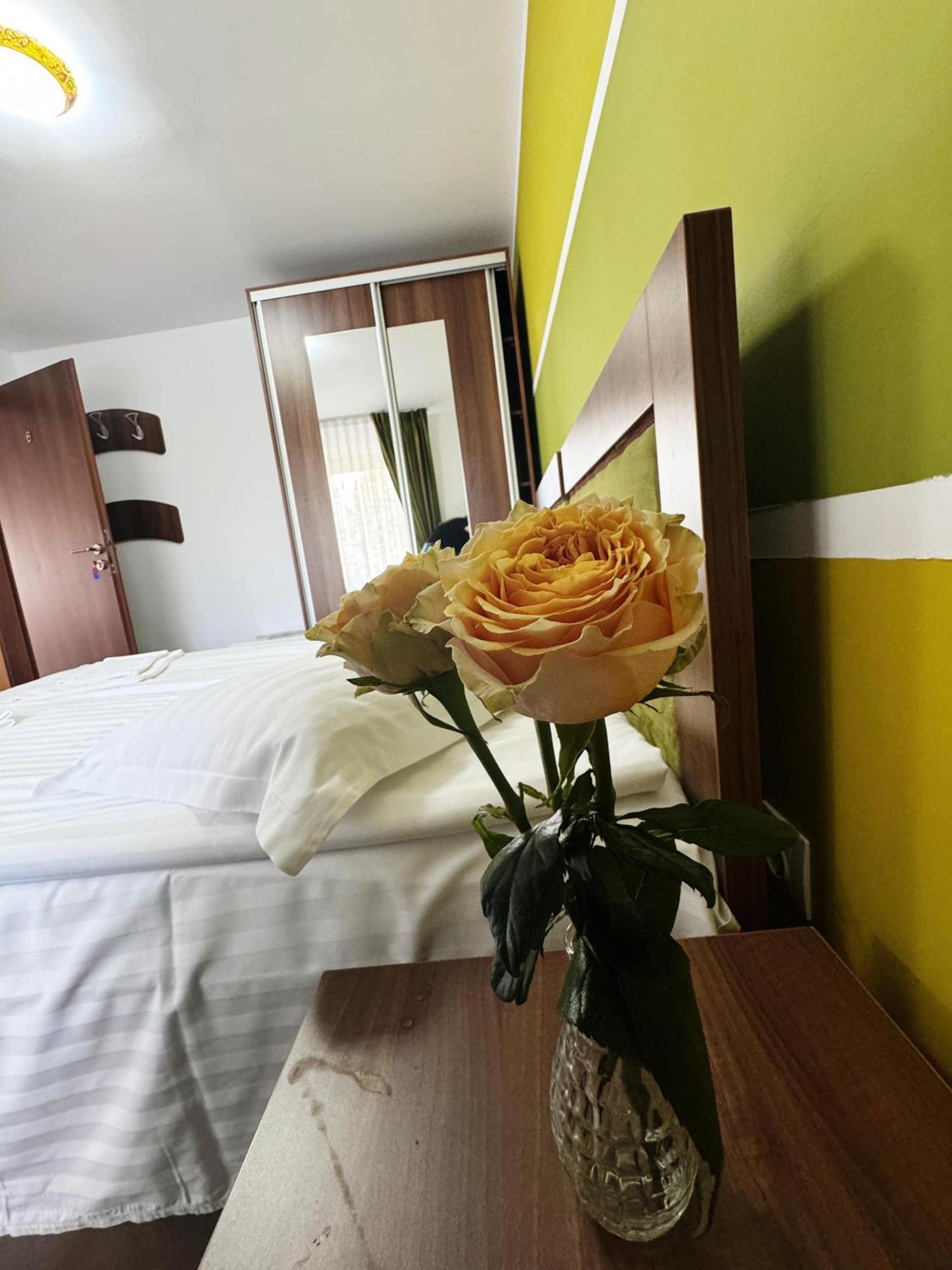 Carpathian Newstar Hotel Sibiu Eksteriør billede